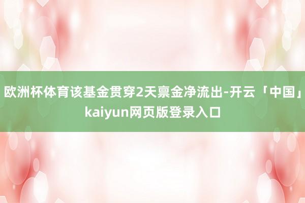 欧洲杯体育该基金贯穿2天禀金净流出-开云「中国」kaiyun网页版登录入口