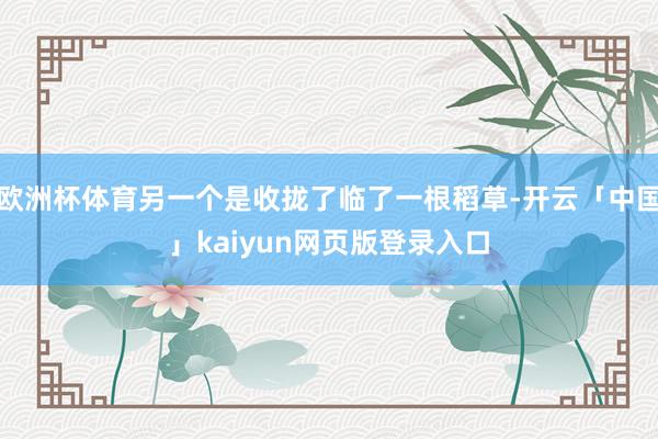 欧洲杯体育另一个是收拢了临了一根稻草-开云「中国」kaiyun网页版登录入口