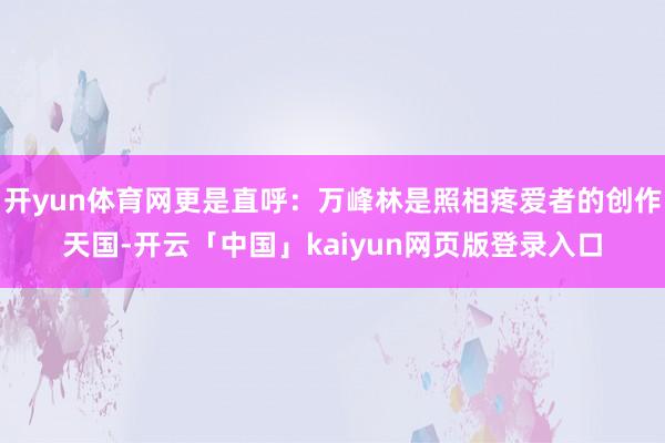 开yun体育网更是直呼:万峰林是照相疼爱者的创作天国-开云「中国」kaiyun网页版登录入口