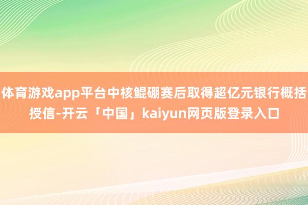 体育游戏app平台中核鲲硼赛后取得超亿元银行概括授信-开云「中国」kaiyun网页版登录入口