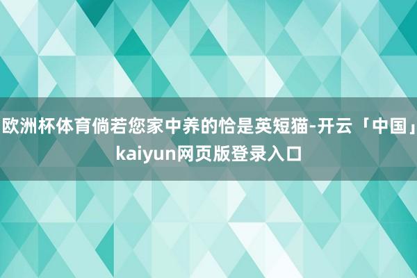欧洲杯体育倘若您家中养的恰是英短猫-开云「中国」kaiyun网页版登录入口