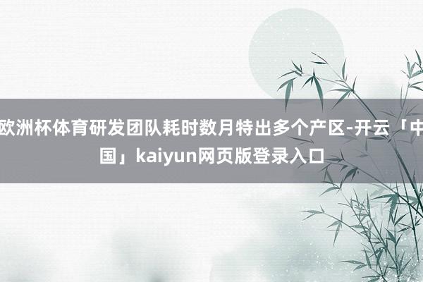 欧洲杯体育研发团队耗时数月特出多个产区-开云「中国」kaiyun网页版登录入口
