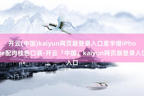 开云(中国)kaiyun网页版登录入口星宇橙iPhone配肉桂色口袋-开云「中国」kaiyun网页版登录入口